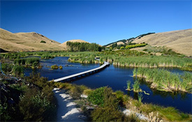 Pekapeka Wetlands